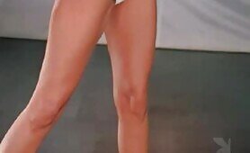 Playboy Playmates in Film - 2004