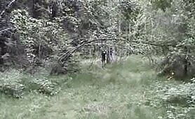 Multiple Model Set - Seven Movies (7 Movies) theforest