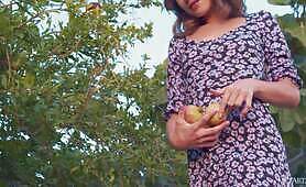 Milkavi-Pomegranate-Little-Story
